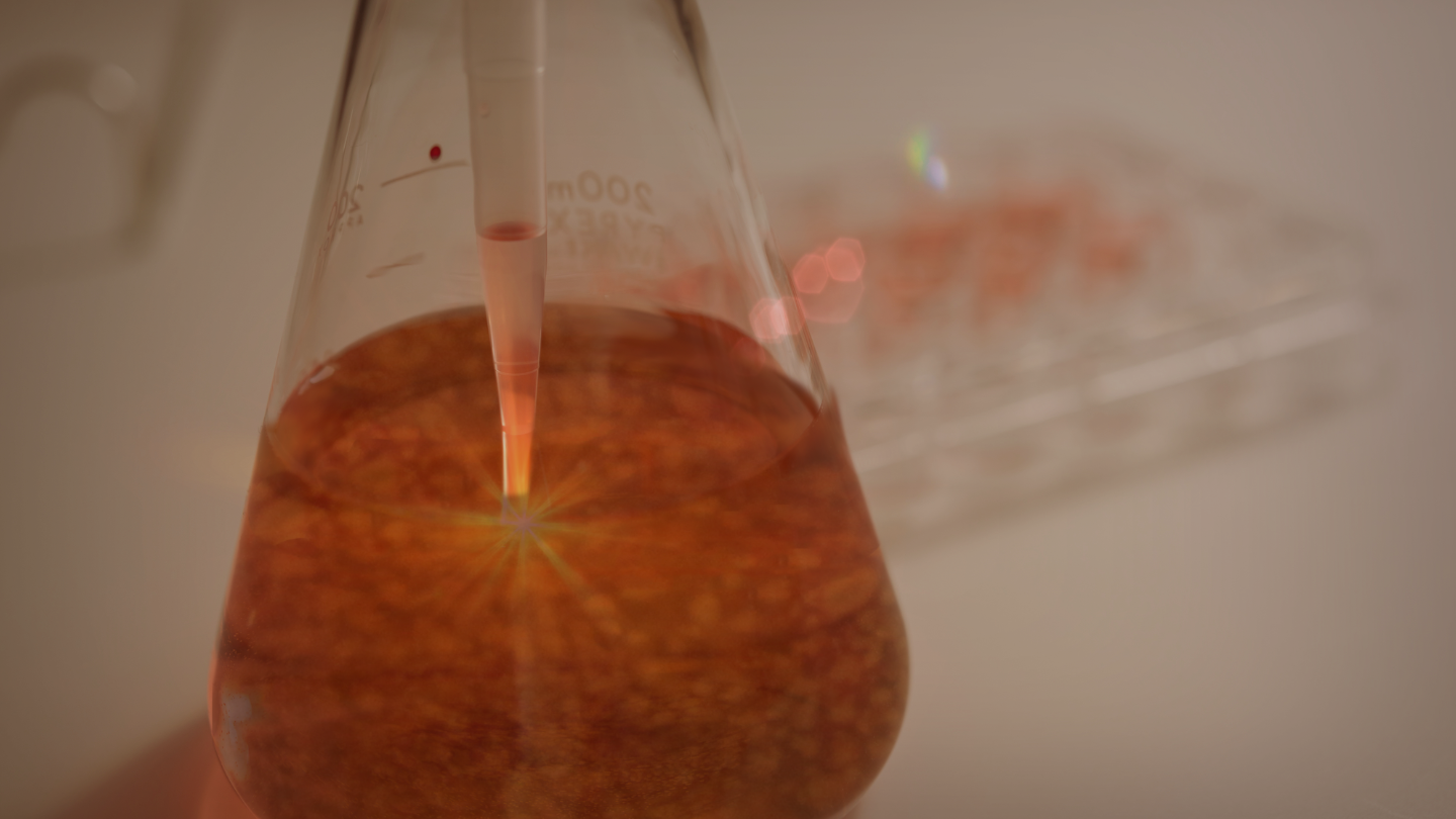 シイタケ菌糸体抽出物開発事業