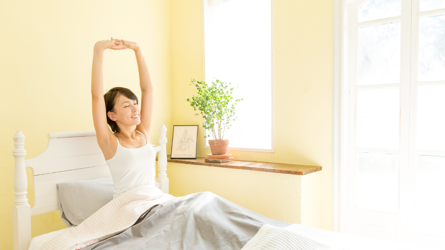 LEM/機能性食品事業