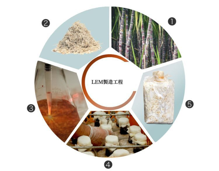 固体培地大型抽出タンク